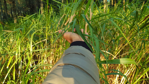 Low section of person on field