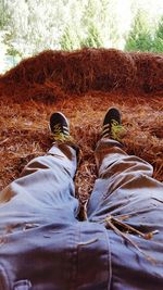 Low section of person relaxing on field