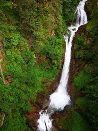 Scenic view of waterfall in forest