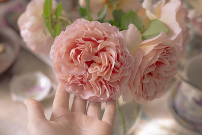 Close-up of hand holding pink flower