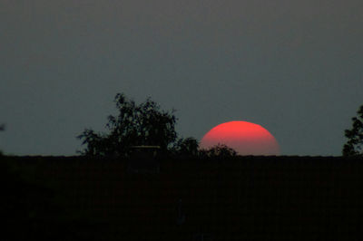 Silhouette of trees on landscape