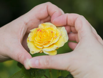 Close-up of hand holding ice cream