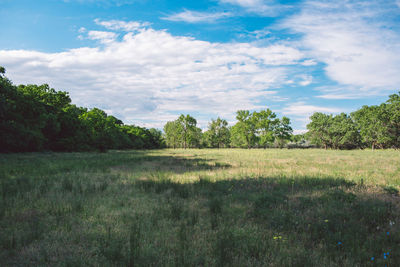 Scenic view of field against sky