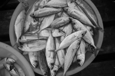 High angle view of fish for sale in market