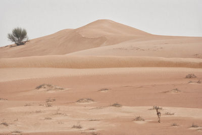 Scenic view of desert against sky