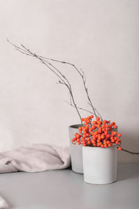 Autumn winter composition with tree branches and rowanberry. minimal style home decor. 