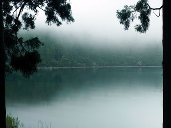 Scenic view of lake in forest against sky