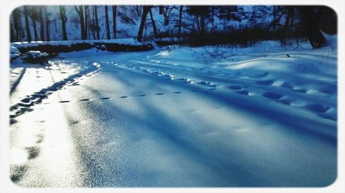 Close-up of snow covered landscape