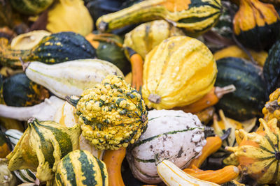 Close-up of pumpkins for sale at market stall