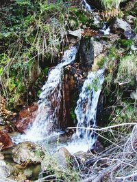 Stream flowing through rocks