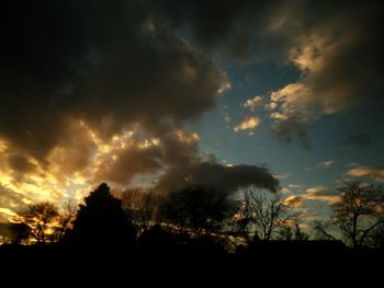 Silhouette trees against sky during sunset