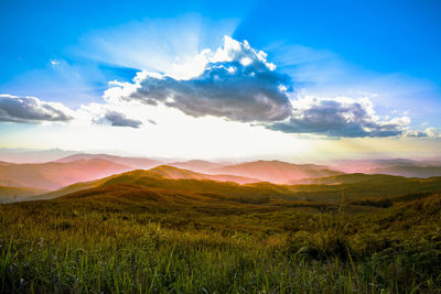 Scenic view of field against sky during sunset