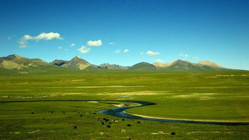 Scenic view of landscape against sky