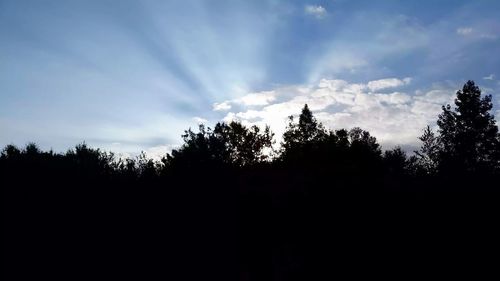 Silhouette trees against sky