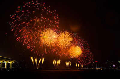 Low angle view of firework display at night