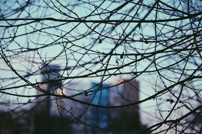 Low angle view of bare tree against sky