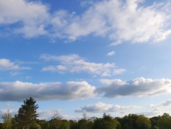 Low angle view of trees against sky