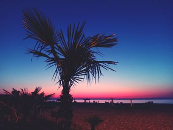 Silhouette palm trees at beach against sky during sunset