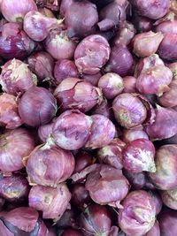 Full frame shot of purple onions