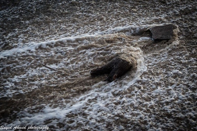 water