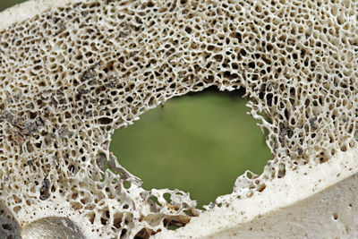 Full frame shot of hole