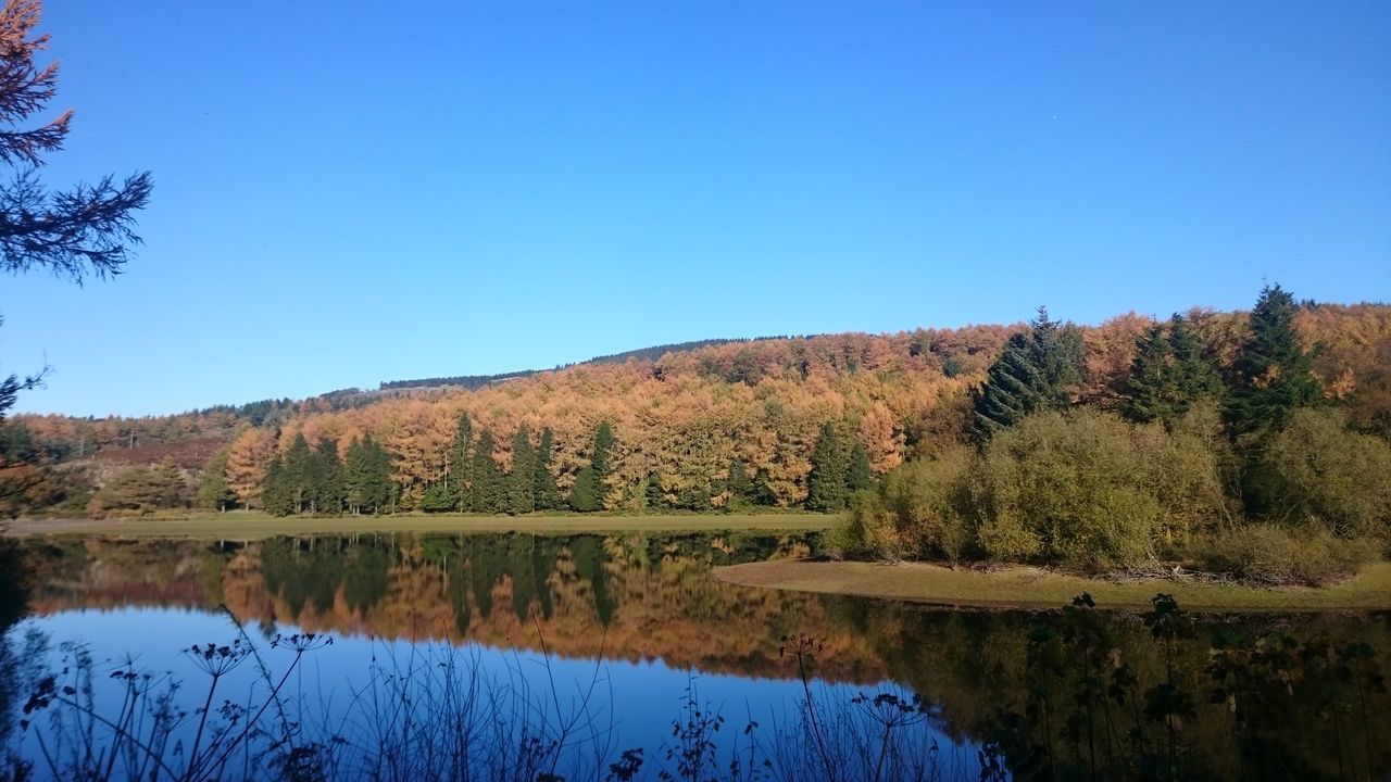 Macclesfield forest