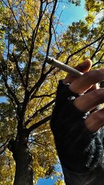 Low angle view of hand holding tree against sky