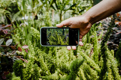 Cropped hand of woman using mobile phone