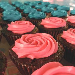 Close-up of pink roses