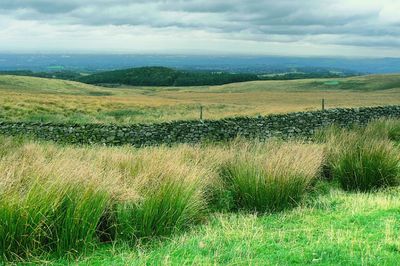 Scenic view of grassy field against cloudy sky