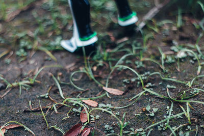 Low section of person standing on field