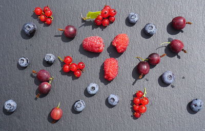 High angle view of red berries on floor
