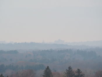 Trees on landscape against sky