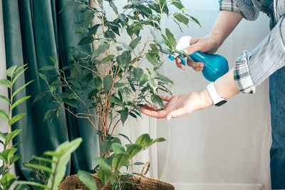 Side view of woman holding potted plant at home