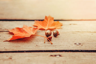 Beautiful natural closeup background with red autumn fall maple leaves and acorns on wooden planks