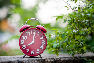 Close-up of alarm clock on retaining wall