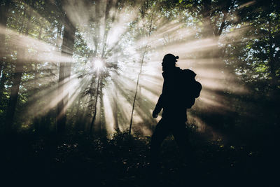 Silhouette man standing by tree in forest