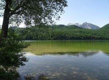 Scenic view of lake by trees against sky