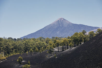 Scenic view of landscape against clear sky