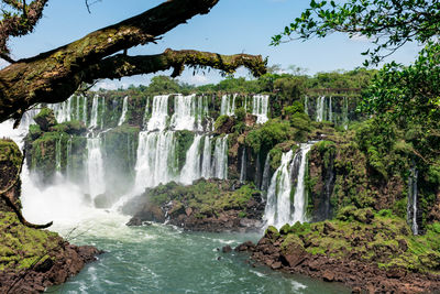 Scenic view of waterfall in forest