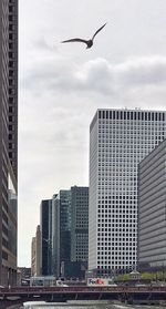 Low angle view of skyscrapers against sky