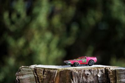 Close-up of toy on tree stump