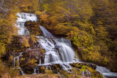 Waterfall in forest