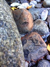 Close-up of stones on rocks