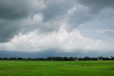 Scenic view of field against sky