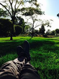 Low section of people relaxing on grassy field