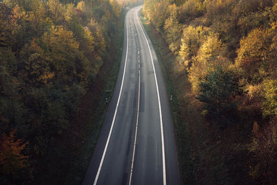 Country road amidst trees