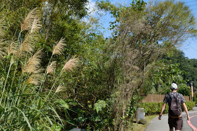 Rear view of man working on plants