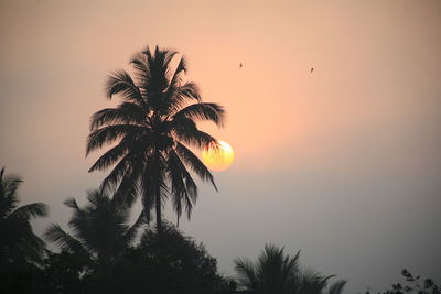 Silhouette palm trees against sky during sunset
