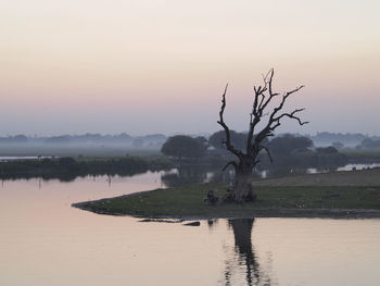 Bare tree by lake against sky during sunset